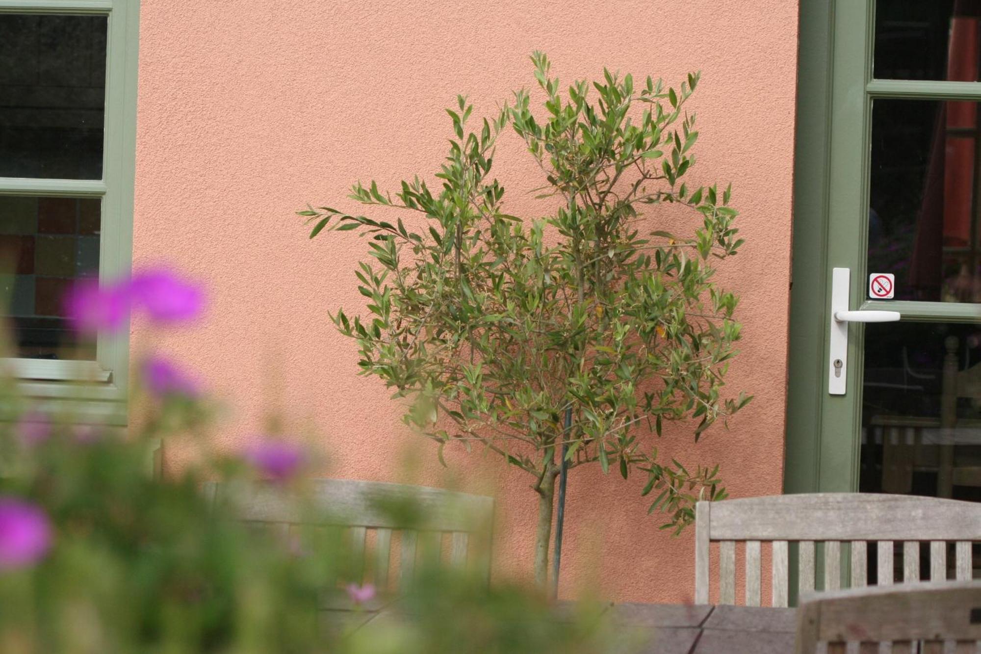B&B La Cle Du Sud Merelbeke Exteriér fotografie